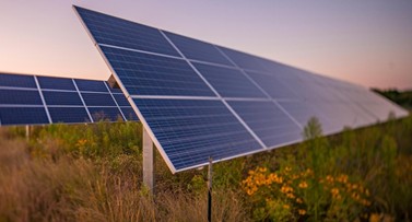 Solar Farms